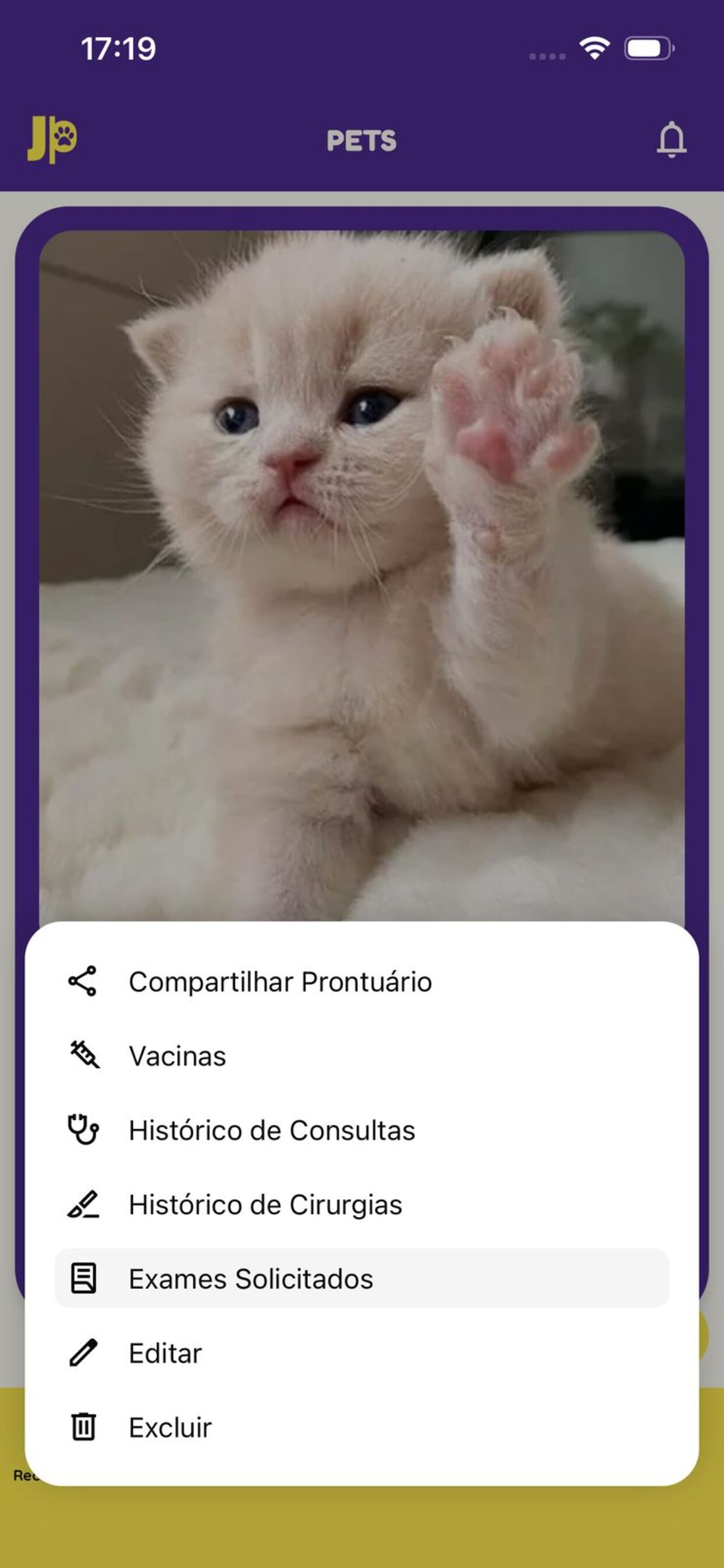 Pets